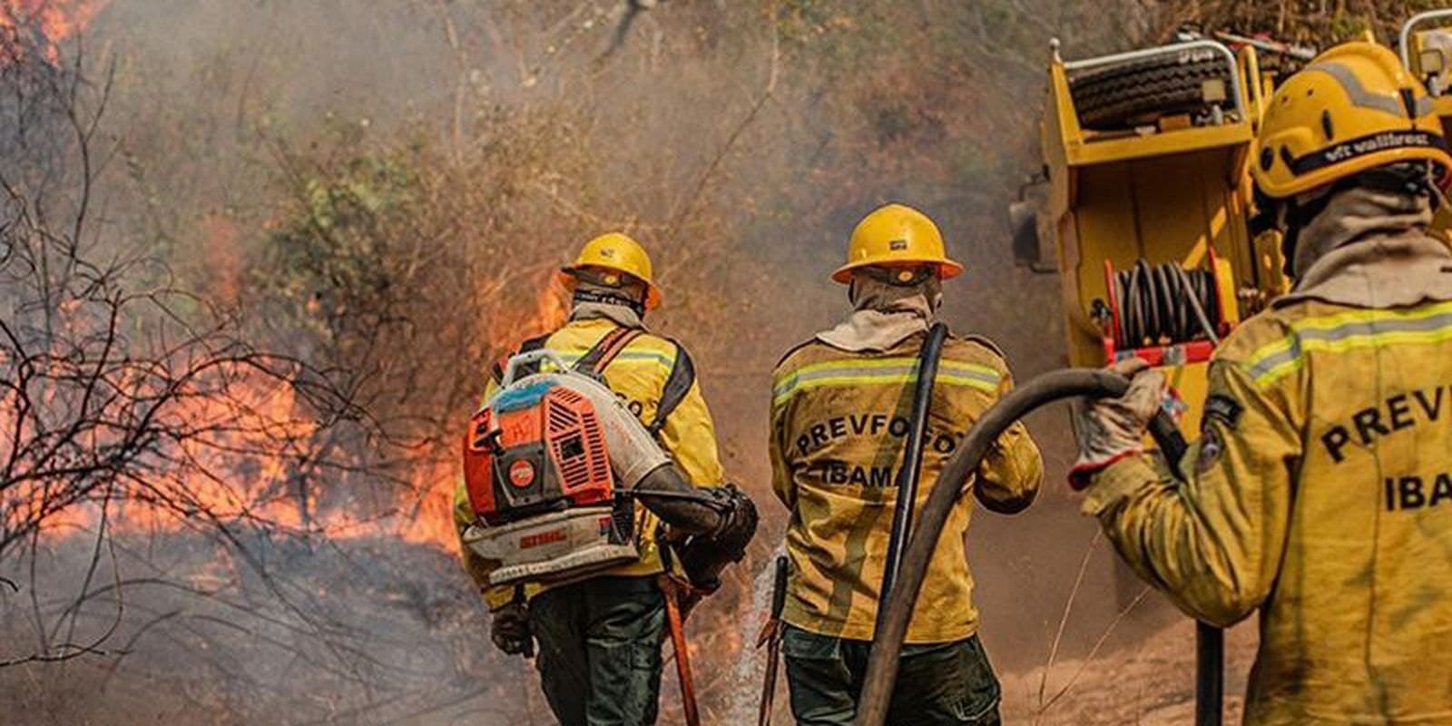 Brigadistas com uniformes do Prevfogo/Ibama e equipamentos de combate enfrentam chamas em uma área de vegetação seca.